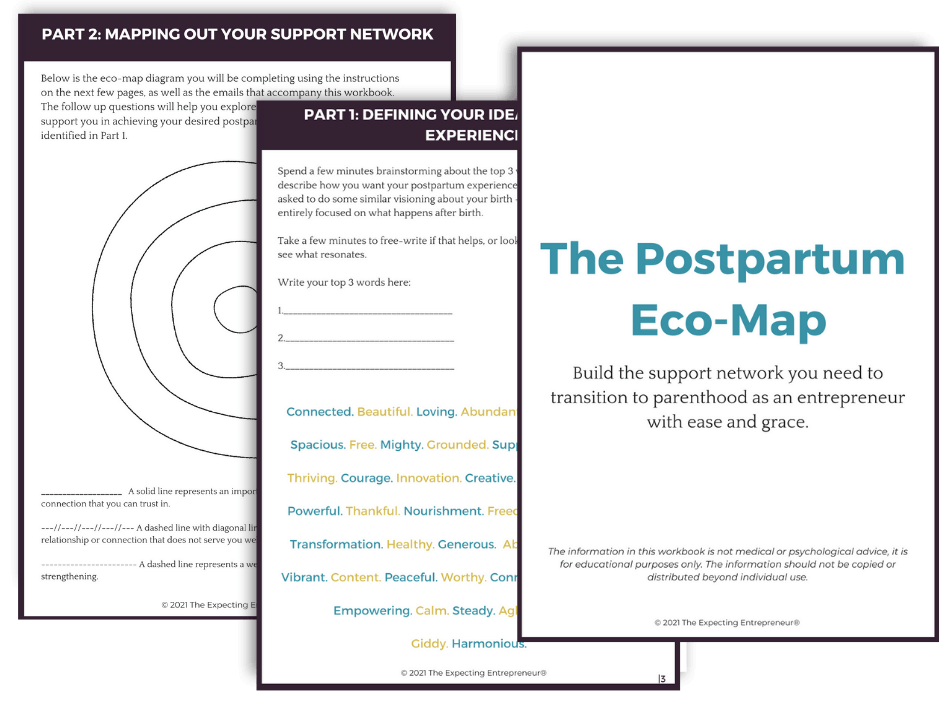 Postpartum Eco-Map Mockup
